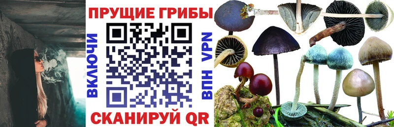 Псилоцибиновые грибы MAGIC MUSHROOMS  Ревда 