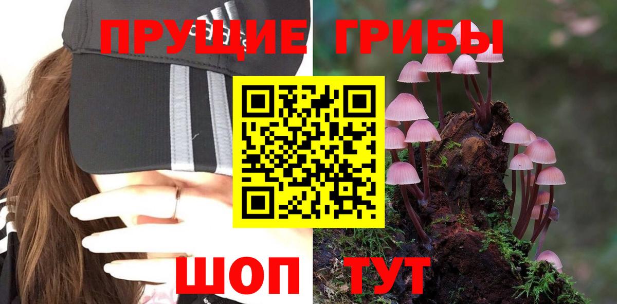 Ревда  Псилоцибиновые грибы мухоморы  Вход с VPN 